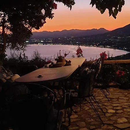 Unique View