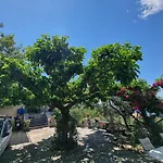 Διαμέρισμα Unique View *