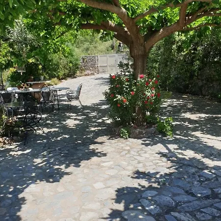 Unique View Apartamento *