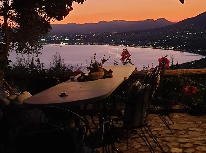 Unique View